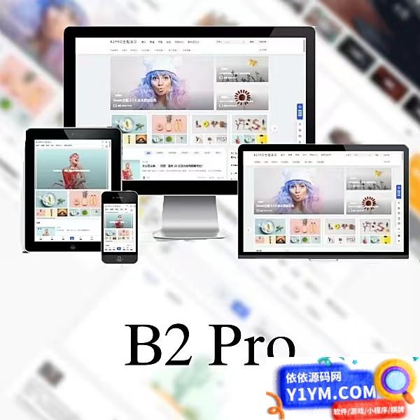 WordPress B2 Pro 主题5.2.0最新版本，欢乐版，包含官方包体和授权文件插图